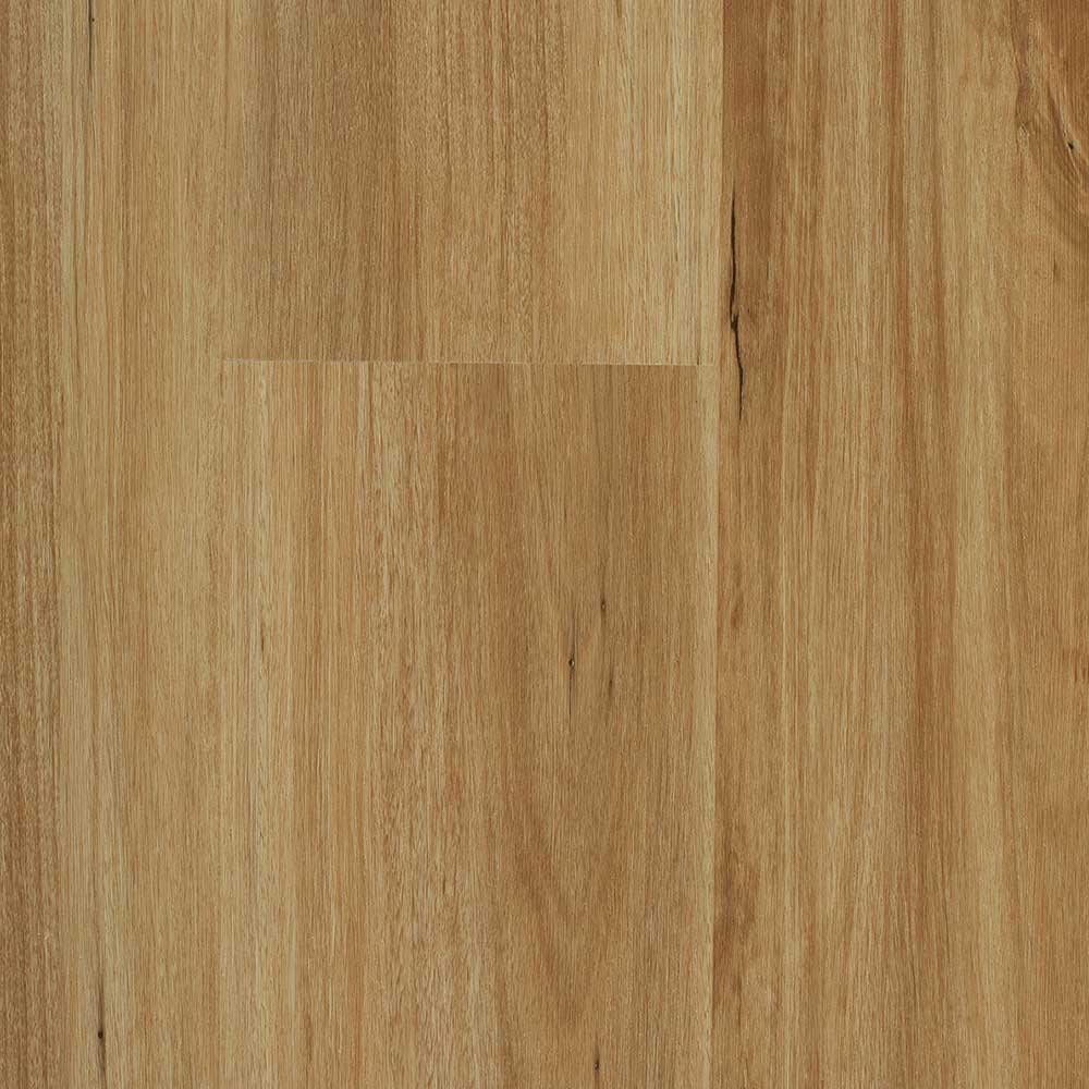 Stone Grove Altus - Blackbutt