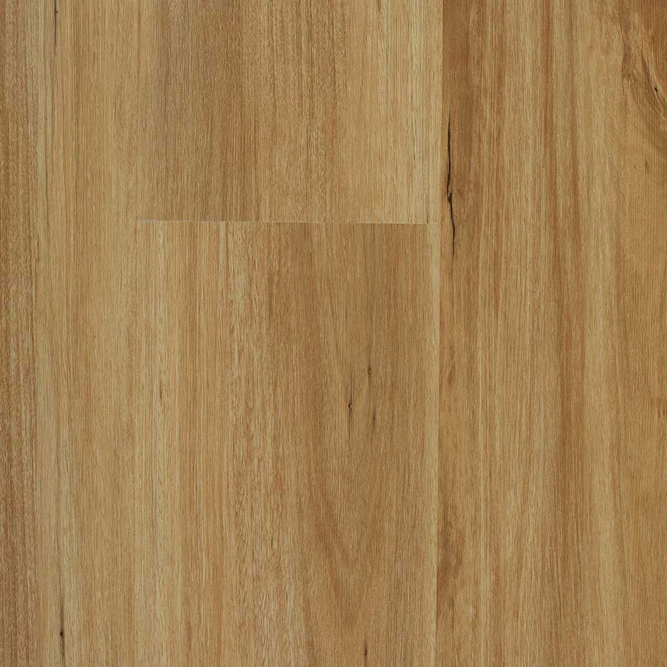 Stone Grove Altus - Blackbutt