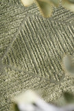 Chad Shilo Green-Runner
