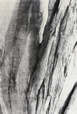 Still 23160-95