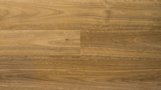 Stone Floor - Spotted Gum